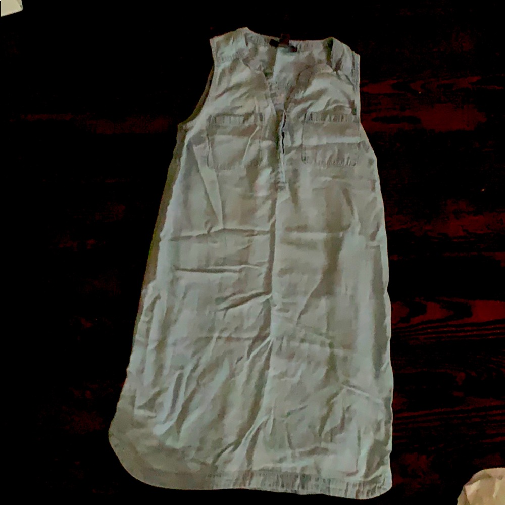 A Pea in a Pod Chambray Dress